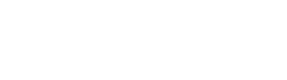 neurodactics Logo